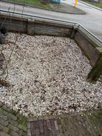 GRATIS! Grind, Tuin en Terras, Ophalen, Gebruikt, Wit, Grind