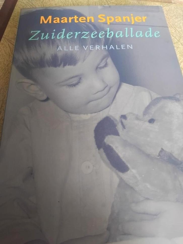Maarten Spanjer - Zuiderzeeballade - Alle Verhalen, Boeken, Romans, Gelezen, Nederland, Ophalen of Verzenden