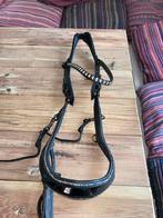 Presteq hoofdstel, Dieren en Toebehoren, Paarden en Pony's | Hoofdstellen en Tuigage, Ophalen of Verzenden, Zo goed als nieuw
