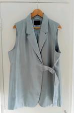 Aimee the Label gilet blauwgrijs glans XL/42, Maat 42/44 (L), Ophalen of Verzenden, Zo goed als nieuw, Grijs