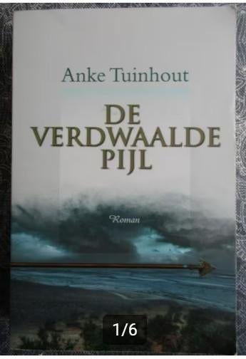 Anke Tuinhout - de verdwaalde pijl, Ophalen of Verzenden, Zo goed als nieuw