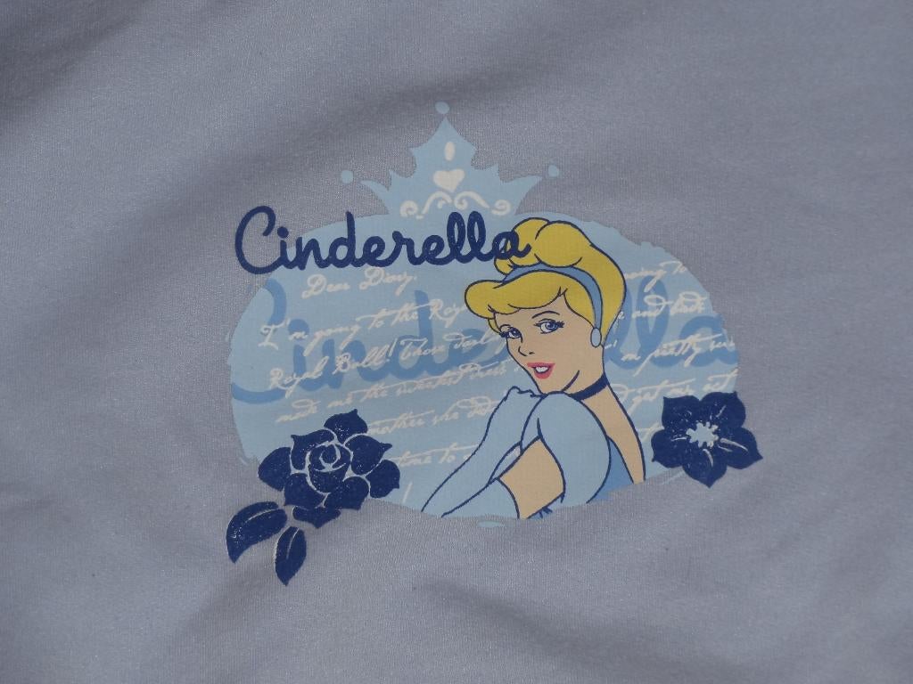 cinderella truitje ( jurk) mt 134, Kinderen en Baby's, Kinderkleding | Maat 134, Ophalen of Verzenden, Gebruikt, Meisje, Trui of Vest