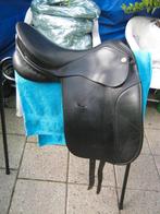 Diverse zadels, o.a. KN, Albion, Kieffer en Thorowgood, Dieren en Toebehoren, Ophalen of Verzenden, Gebruikt, Overige soorten