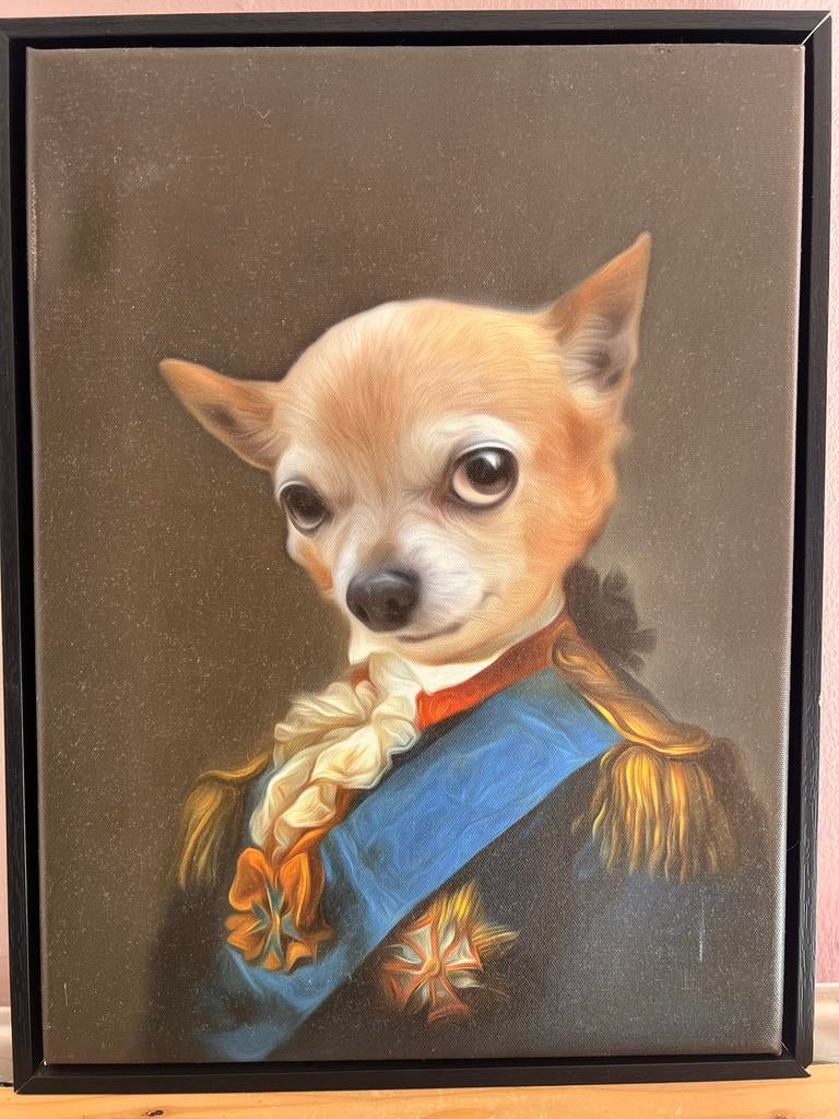 Chihuahua in admiraalspak schilderij 43x33cm, Ophalen of Verzenden
