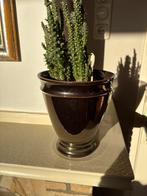 Bloempot brons kleur, Rond, Ophalen of Verzenden, Zo goed als nieuw, Aardewerk