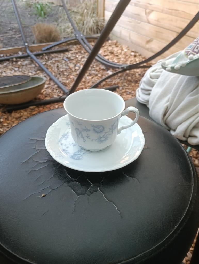 Mitterteich Bavaria W. Germany Kop en Schotel, Ophalen of Verzenden