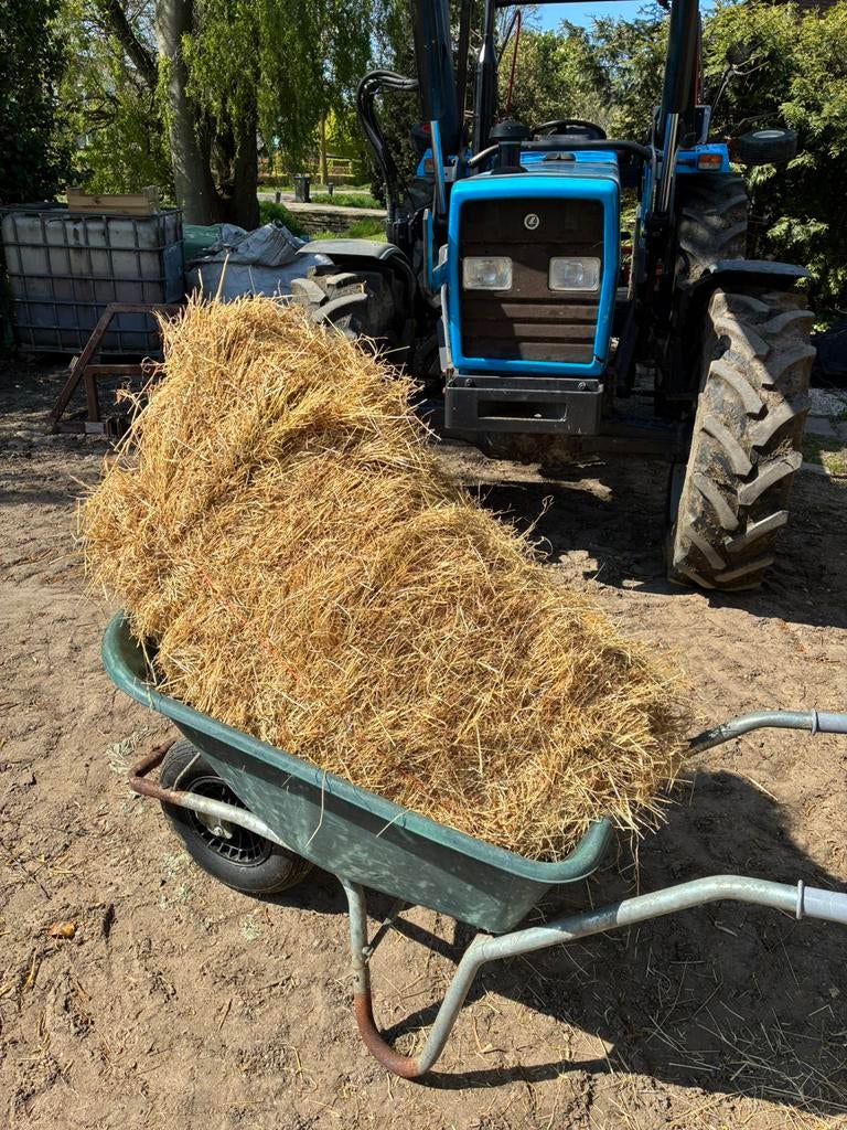 Hooi 2025, Ophalen of Verzenden, Vee