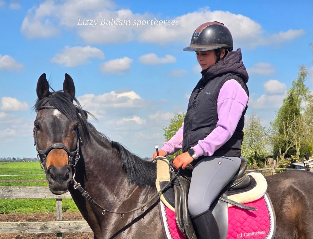 Nieuwe advertentie 7jarige merrie 163cm topbraaf, Dieren en Toebehoren, Paarden, Merrie, L, 7 tot 10 jaar, 160 tot 165 cm