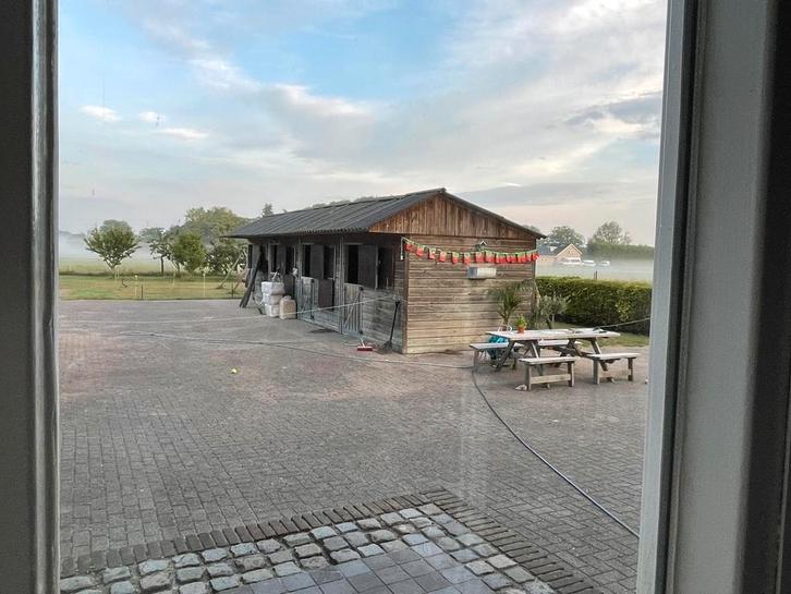 Stalling voor pony te huur nabij Tiel, Dieren en Toebehoren, Stalling en Weidegang, Stalling