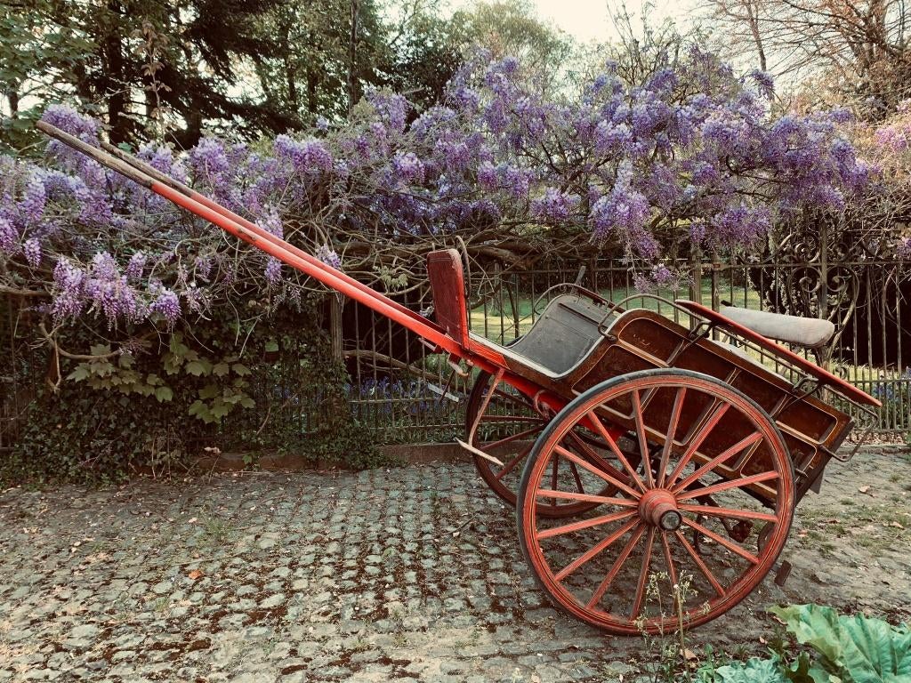 rijtuigen, Dieren en Toebehoren, Rijtuigen en Koetsen, Gebruikt