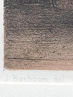 Johannes Bosboom litho kerkinterieur 1851, Ophalen of Verzenden