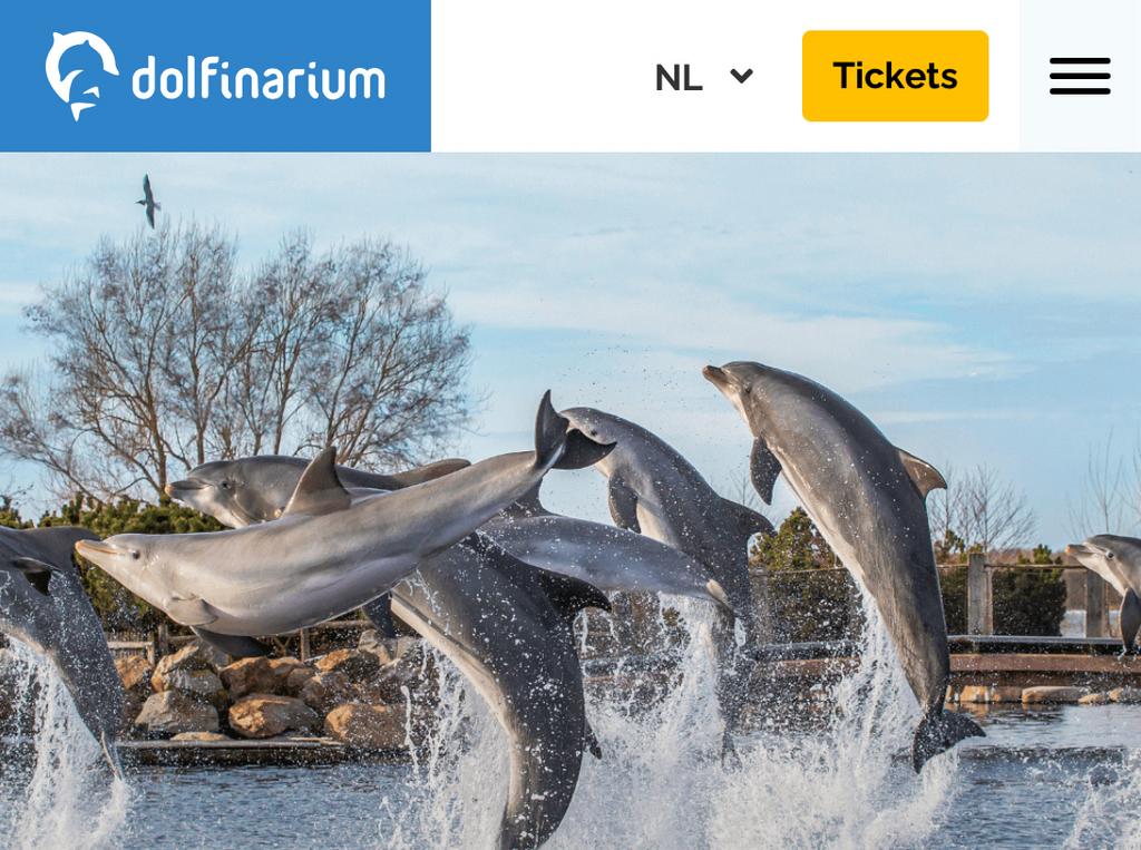 Dolfinarium e ticket X4, Tickets en Kaartjes, Eén persoon, Kortingskaart