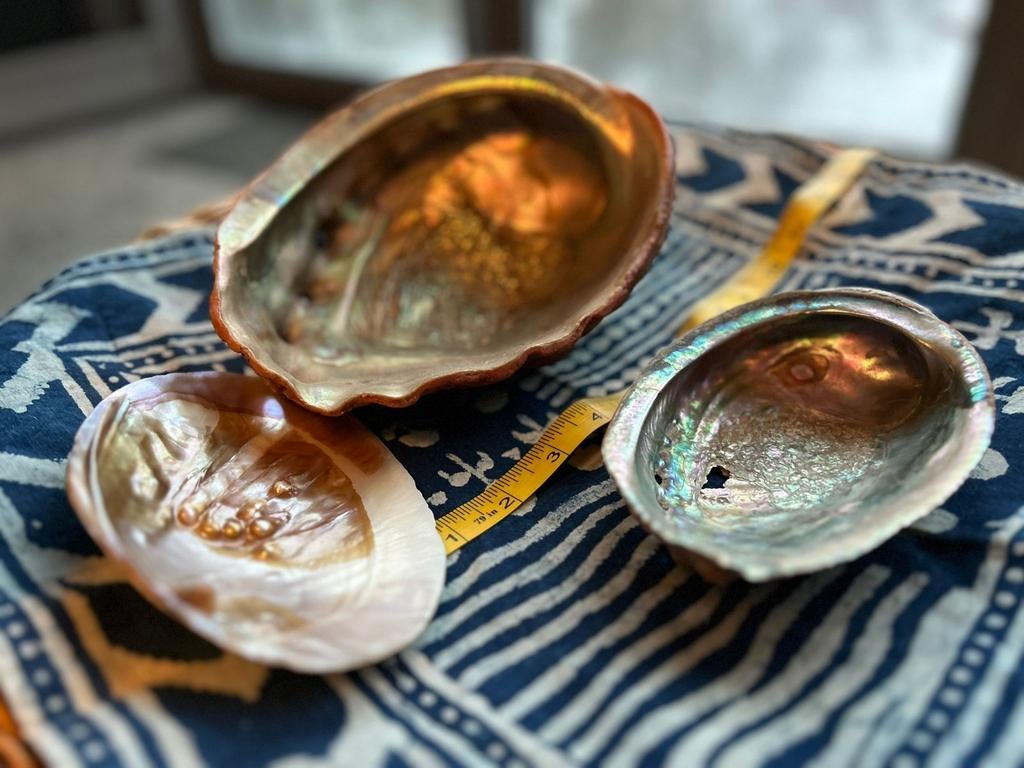 Set van 3 Abalone - Pacific Grove, Californië- bieden v €31, Ophalen of Verzenden, Rond