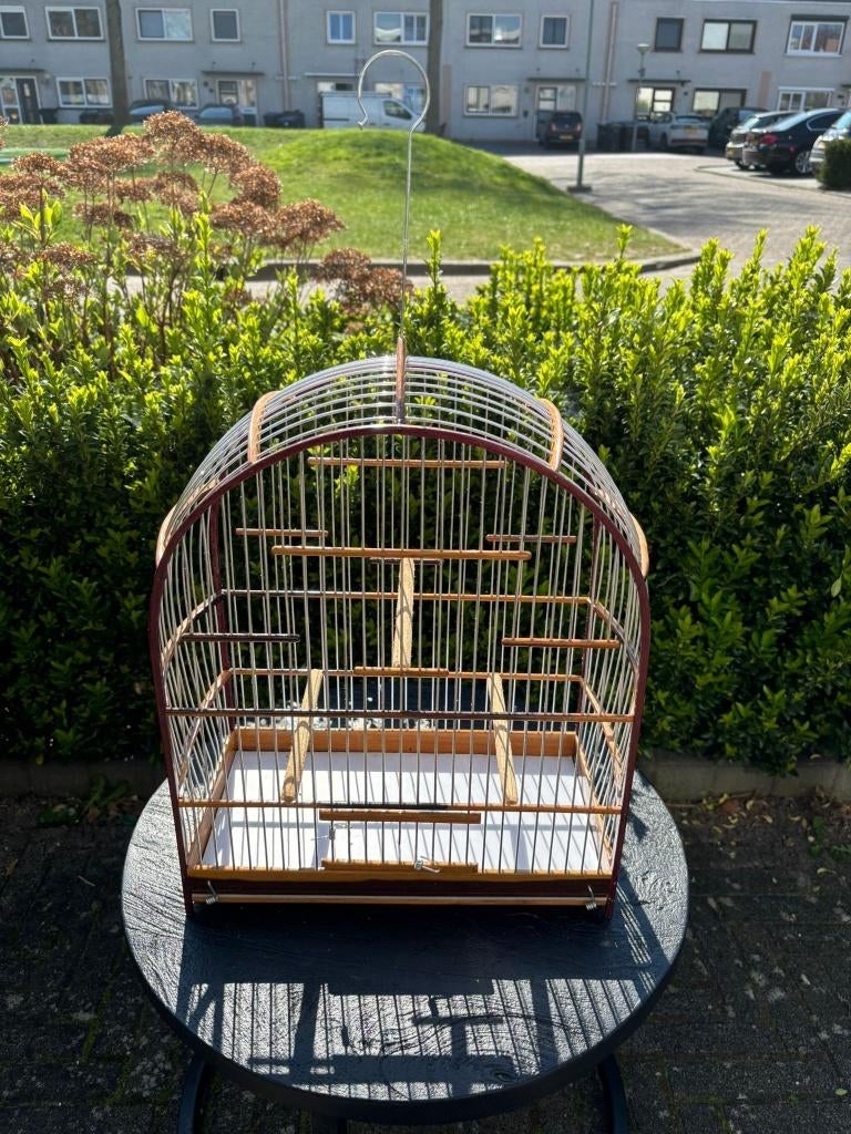 Nieuwe 25-draads Braziliaanse vogelkooi, Dieren en Toebehoren, Vogels | Hokken en Kooien, Ophalen of Verzenden, Nieuw, Metaal