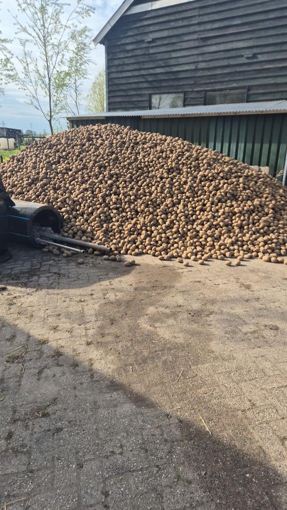 Aardappels, Ophalen of Verzenden