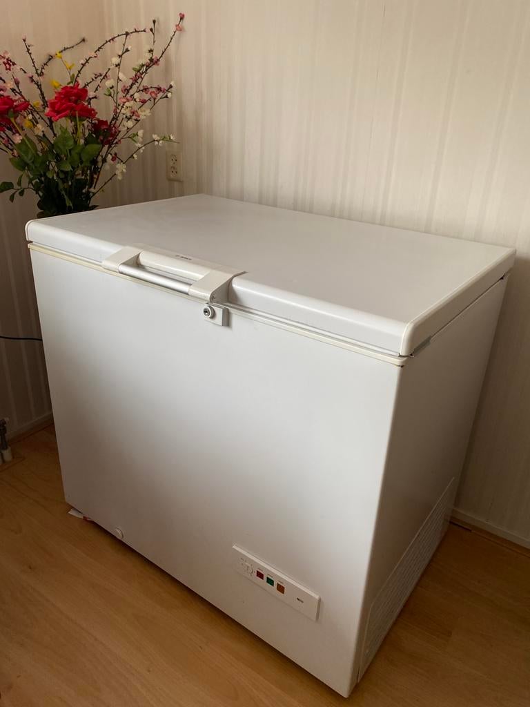 Bosch  GMC24AW 30/02 vrieskist, Ophalen of Verzenden, Zo goed als nieuw, 85 tot 120 cm