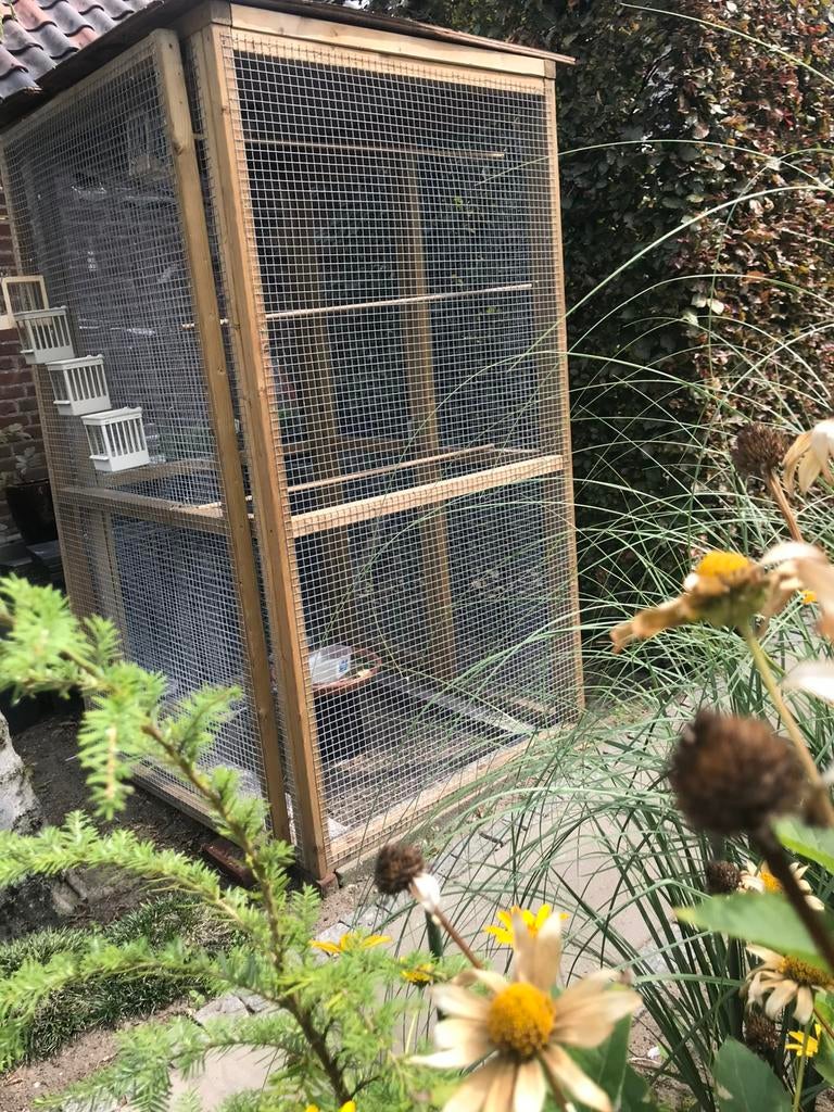 Voliere, Dieren en Toebehoren, Vogels | Hokken en Kooien, Ophalen of Verzenden, Gebruikt, Hout, Volière