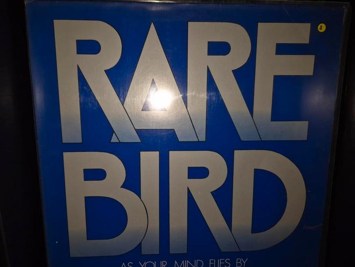 Rare Bird, Cd's en Dvd's, Vinyl | Rock, Gebruikt, 12 inch, Verzenden