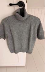 Purdey grijze coltrui met glitter en zilverdraad, Ophalen of Verzenden, Zo goed als nieuw, Maat 38/40 (M), Grijs