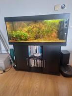 Juwel aquarium met onderkast zwart, Ophalen, Gebruikt, Filter of Co2