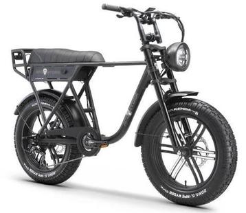 ApeRyder E-Bike  La Souris - Zo goed als nieuw! beschikbaar voor biedingen