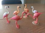 Playmobil Flamingo's - set 6651 COMPLEET, Ophalen of Verzenden, Zo goed als nieuw, Complete set