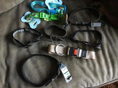 Honden riem, Dieren en Toebehoren, Hondenriemen, Nieuw, Hondenriem, Ophalen of Verzenden