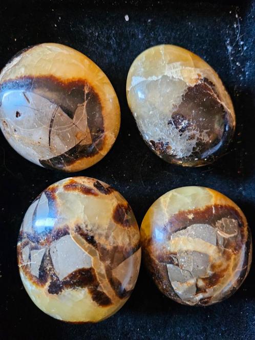 Septarie stenen per stuk, Verzamelen, Mineralen en Fossielen, Ophalen of Verzenden