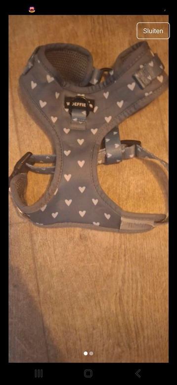 Woeffie tuigen maat M beschikbaar voor biedingen