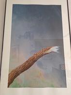 Sjoerd Bakker- Aquarel - tak tegen een bewolkte lucht, Antiek en Kunst, Kunst | Litho's en Zeefdrukken, Ophalen