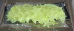 nieuw in verpakking glow in the dark droomstikkers sterren, Ophalen of Verzenden, Nieuw, Jongen of Meisje