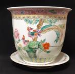 Grote Chinees porselein Famille Rose bloempot op schotel, Antiek en Kunst, Antiek | Porselein, Ophalen of Verzenden