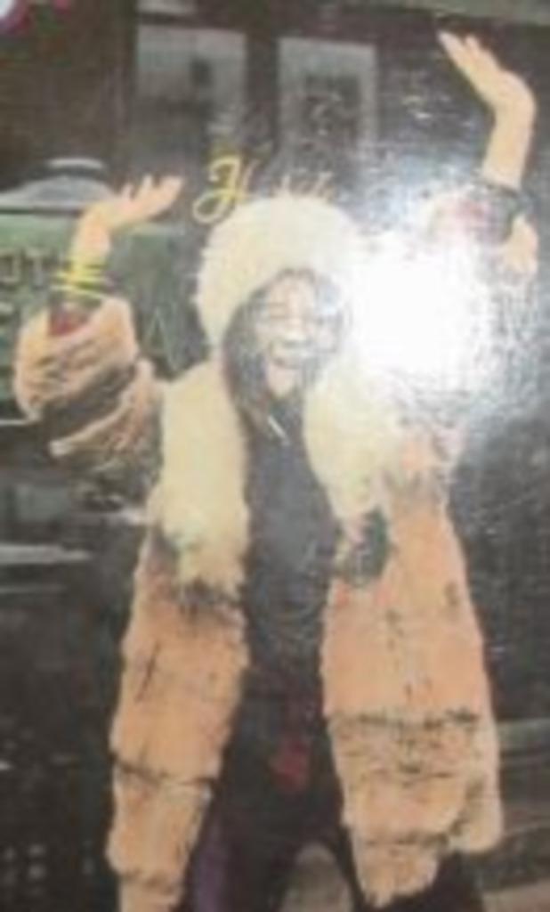 Herinneringen Bob Dylan Janis Joplin ea in het Chelseehotel , Boeken, Muziek, Gelezen, Artiest, Verzenden