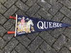 Quebec vaandel blauw jaren 70 midcentury €35 Canada 🇨🇦, Verzamelen, Ophalen of Verzenden