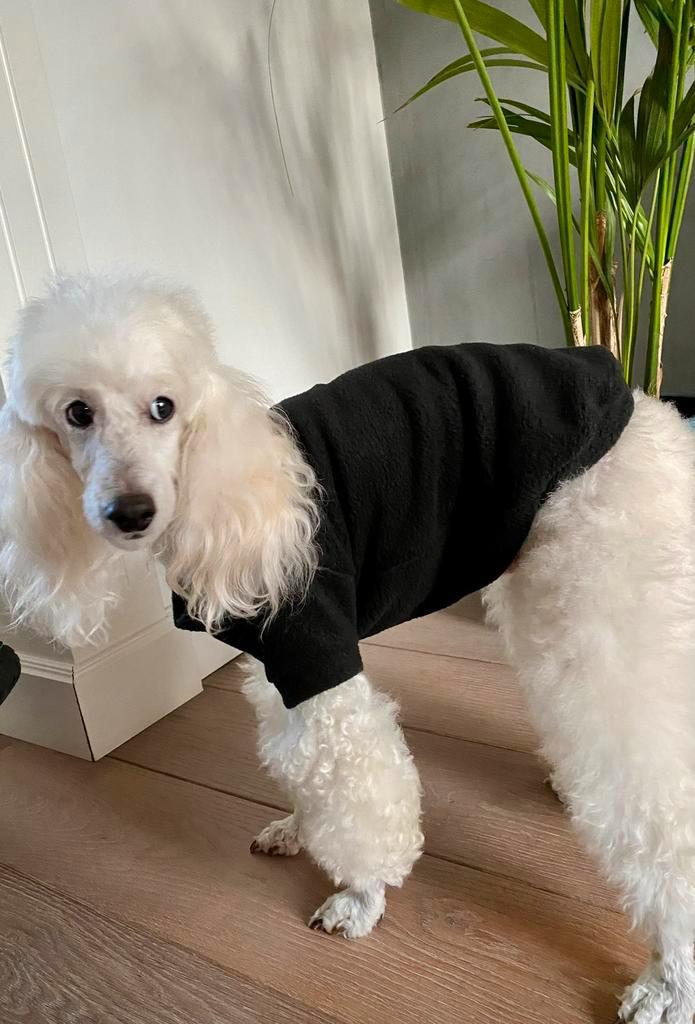 Warme Handmade Hondentrui Chihuahua Boomer pup Pom Naakthond, Dieren en Toebehoren, Hondenkleding, Nieuw, Hondentrui, Ophalen of Verzenden