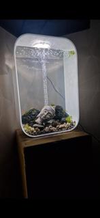 biorb aquarium 45 liter, Dieren en Toebehoren, Ophalen, Leeg aquarium