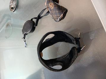 Puppie xs body met riem en tasje beschikbaar voor biedingen