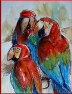 aquarel ara, inclusief lijst, gemaakt door greetje rigterink, Antiek en Kunst, Ophalen