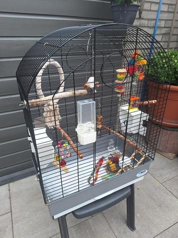 Vogelkooi 80x60x32cm beschikbaar voor biedingen