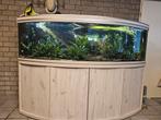 Aquatlantis horizon 2 meter, Dieren en Toebehoren, Zo goed als nieuw, Ophalen, Leeg aquarium