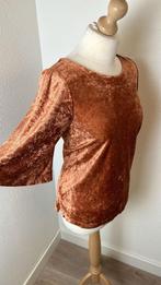 King Louie maat XL velvet fluwelen top NIEUW 1092, Kleding | Dames, Bruin, Maat 46/48 (XL) of groter, Nieuw, Ophalen of Verzenden