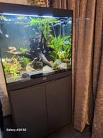Aquarium aqaulantis volga 200 in mei aangekocht gaat weg ivm, Dieren en Toebehoren, Vissen | Aquaria en Toebehoren, Ophalen, Zo goed als nieuw