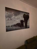 Olifanten Glas Schilderij - 120x80 cm, Ophalen of Verzenden, Zo goed als nieuw, Schilderij, 75 cm of meer