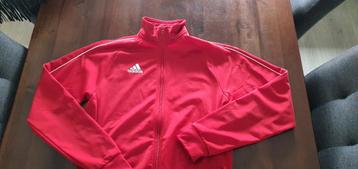 Adidas trainingsjack rood maat S, als nieuw
