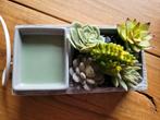 Scenty Warmer - Succulent Design, Huis en Inrichting, Grijs, Overige materialen, Ophalen of Verzenden, Zo goed als nieuw