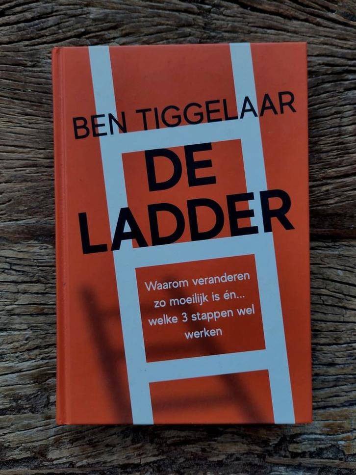 Ben Tiggelaar - De Ladder, Boeken, Advies, Hulp en Training, Zo goed als nieuw, Ophalen of Verzenden