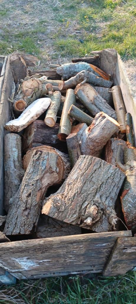 Haardhout restanten 4st. voor 59euro, Tuin en Terras, Haardhout, Minder dan 3 m³, Ophalen