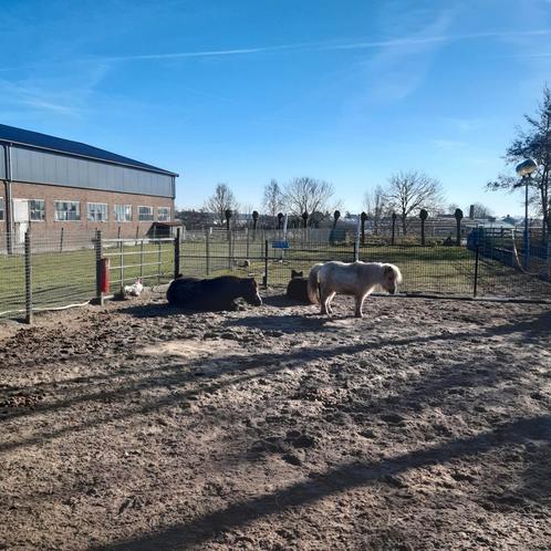Paddockstalling voor shetlander of kleine pony, Dieren en Toebehoren, Stalling en Weidegang, Stalling, Weidegang