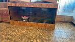 Terrarium OSB compleet incl. Toebehoren 100x50x50, Dieren en Toebehoren, Ophalen, Zo goed als nieuw