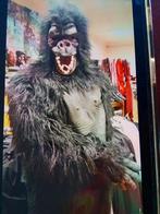 Dierenpakken  , aap , kip , beer , konijn, Ophalen, Zo goed als nieuw, Carnaval, Kleding